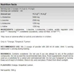 FA Nutrition Xtreme AnticataboliX Bcaa + Glutamin - 500 gr